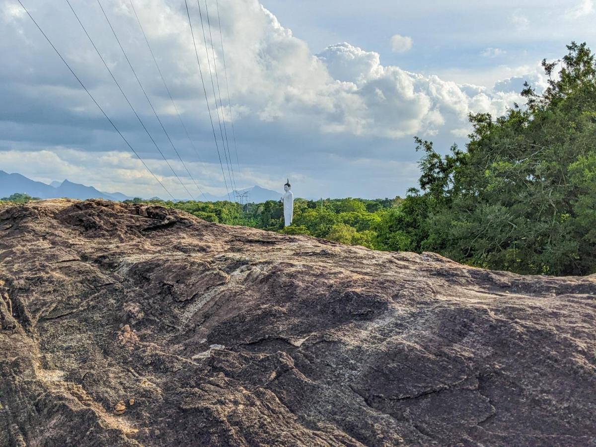 Sigiri Choona Lodge 'Unique Sunrise Viewpoint' Sigirija Zewnętrze zdjęcie